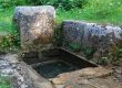 La-Petite-Gaulardiere_LES-ENVIRONS_Randonees-foret-de-belleme