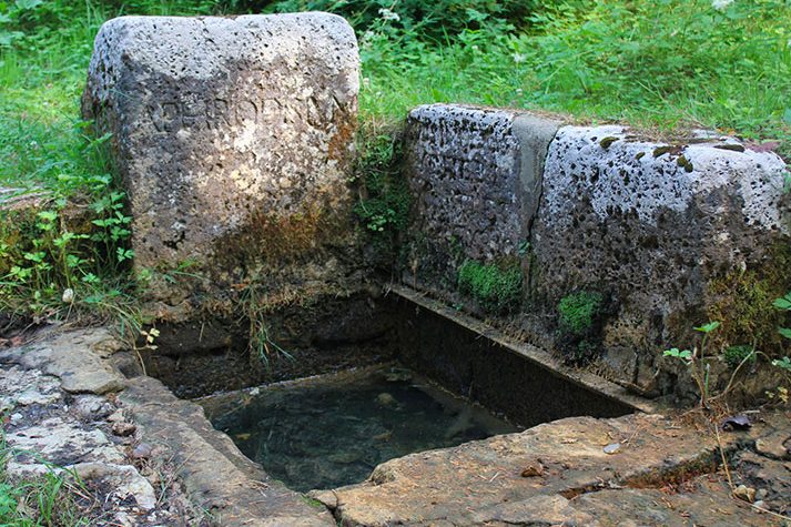 La-Petite-Gaulardiere_LES-ENVIRONS_Randonees-foret-de-belleme