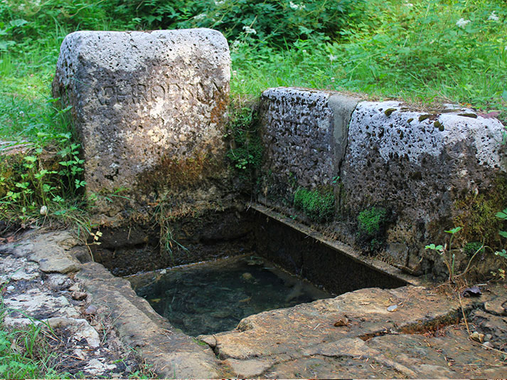 La-Petite-Gaulardiere_LES-ENVIRONS_Randonees-foret-de-belleme