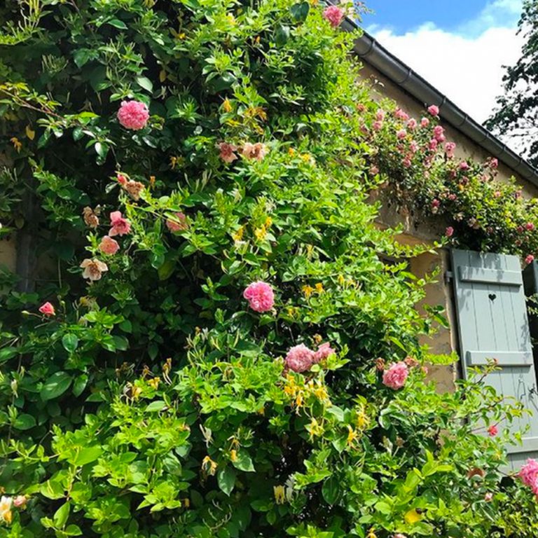 La Petite Gaulardiere, Galerie photo