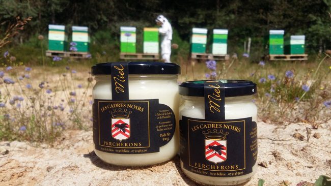Les Cadres Noirs Percherons miel